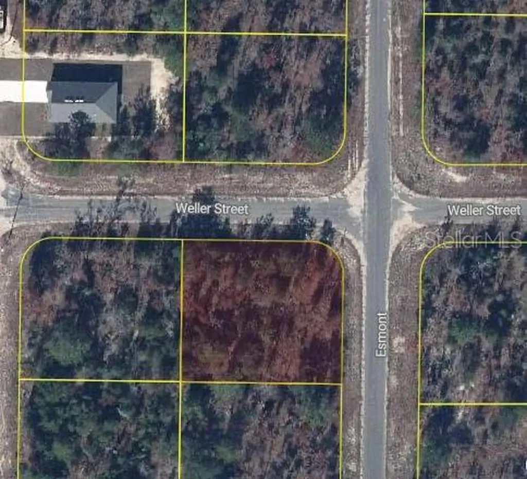 Esmont Avenue Chipley FL 32428