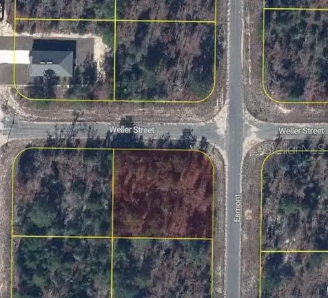 Esmont Avenue Chipley FL 32428
