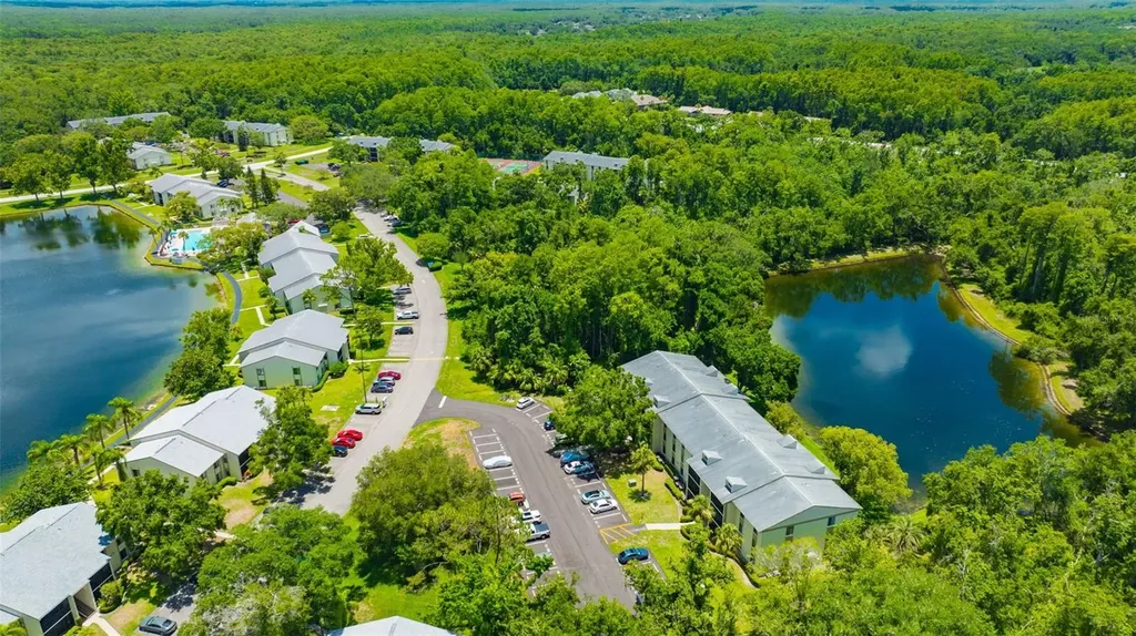 3134 Lake Pine Way Tarpon Springs FL 34688