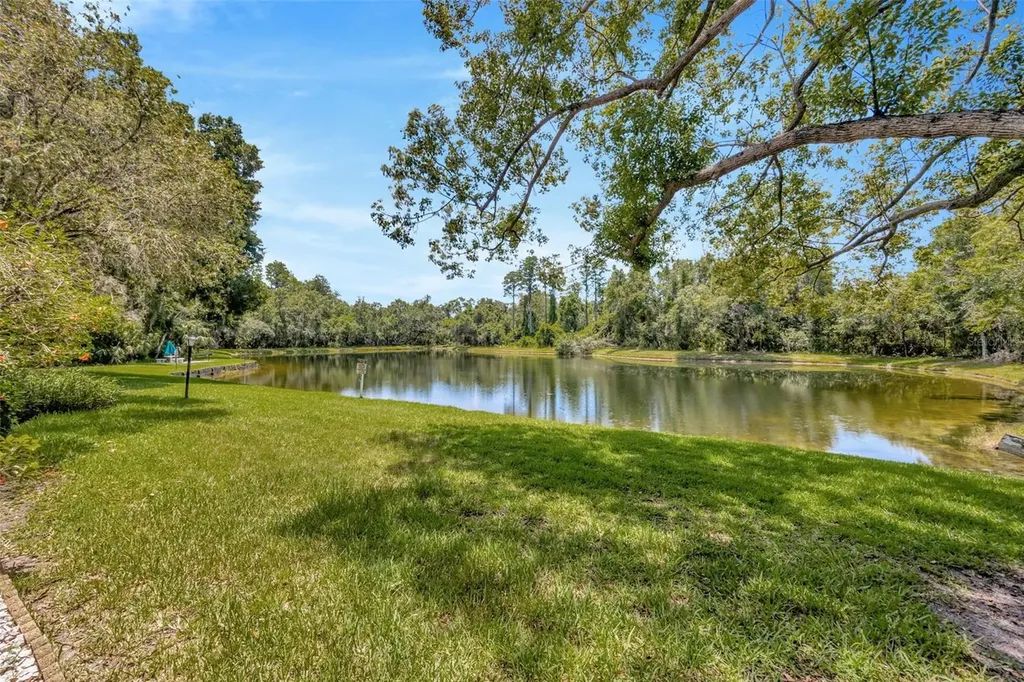 3134 Lake Pine Way Tarpon Springs FL 34688