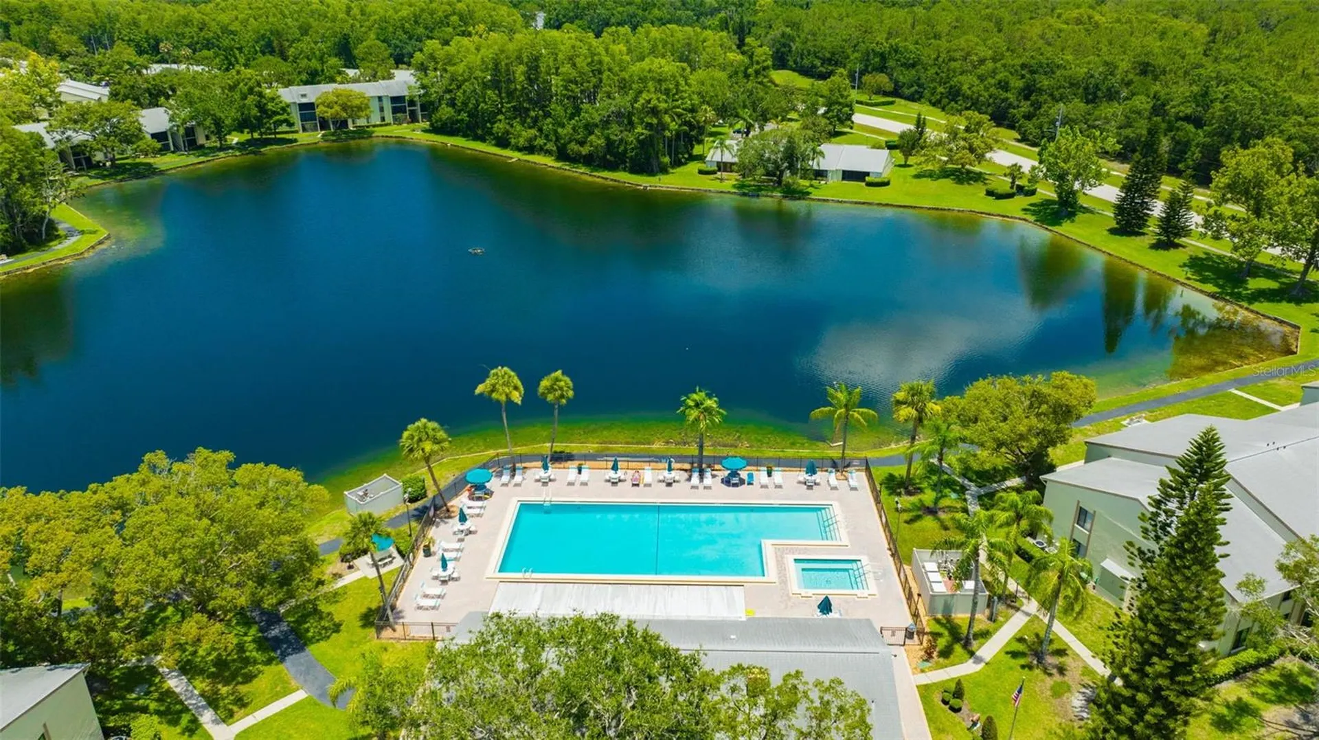 3134 Lake Pine Way Tarpon Springs FL 34688