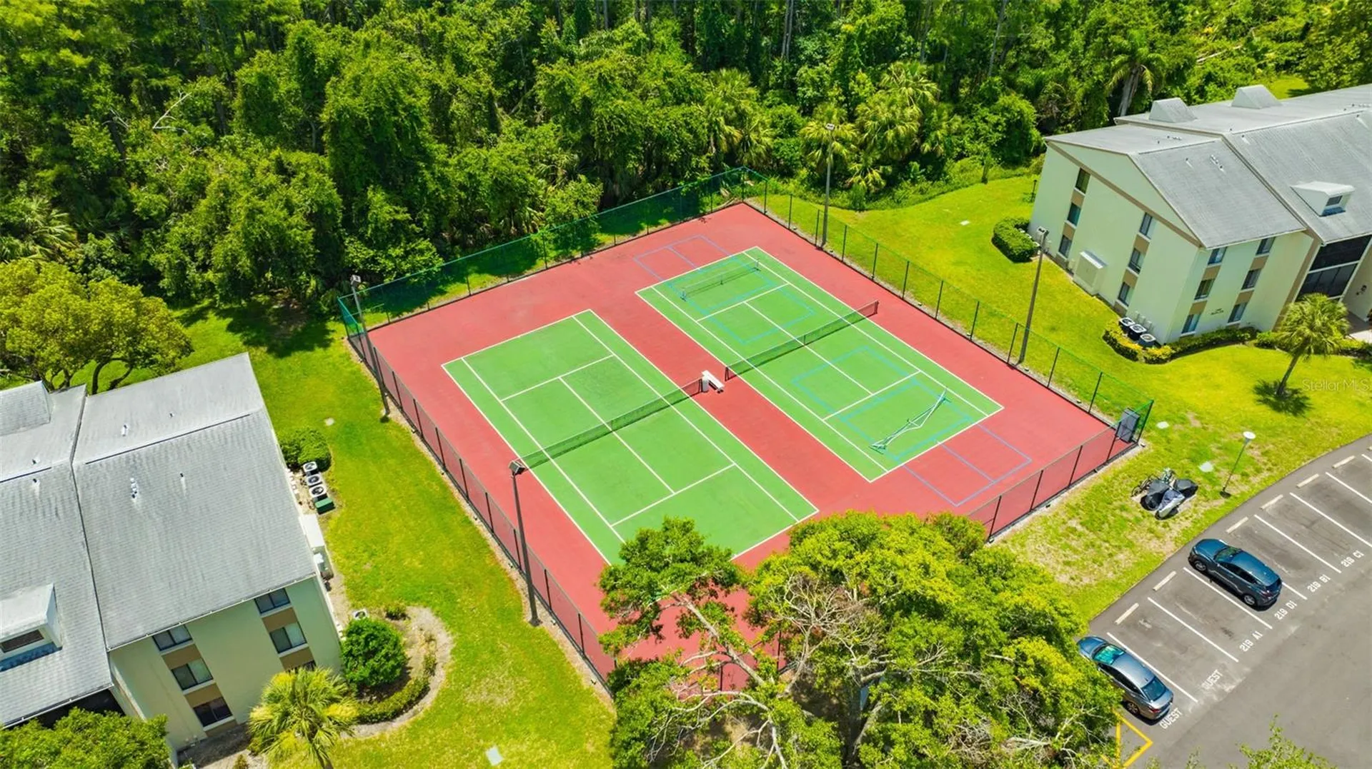 3134 Lake Pine Way Tarpon Springs FL 34688