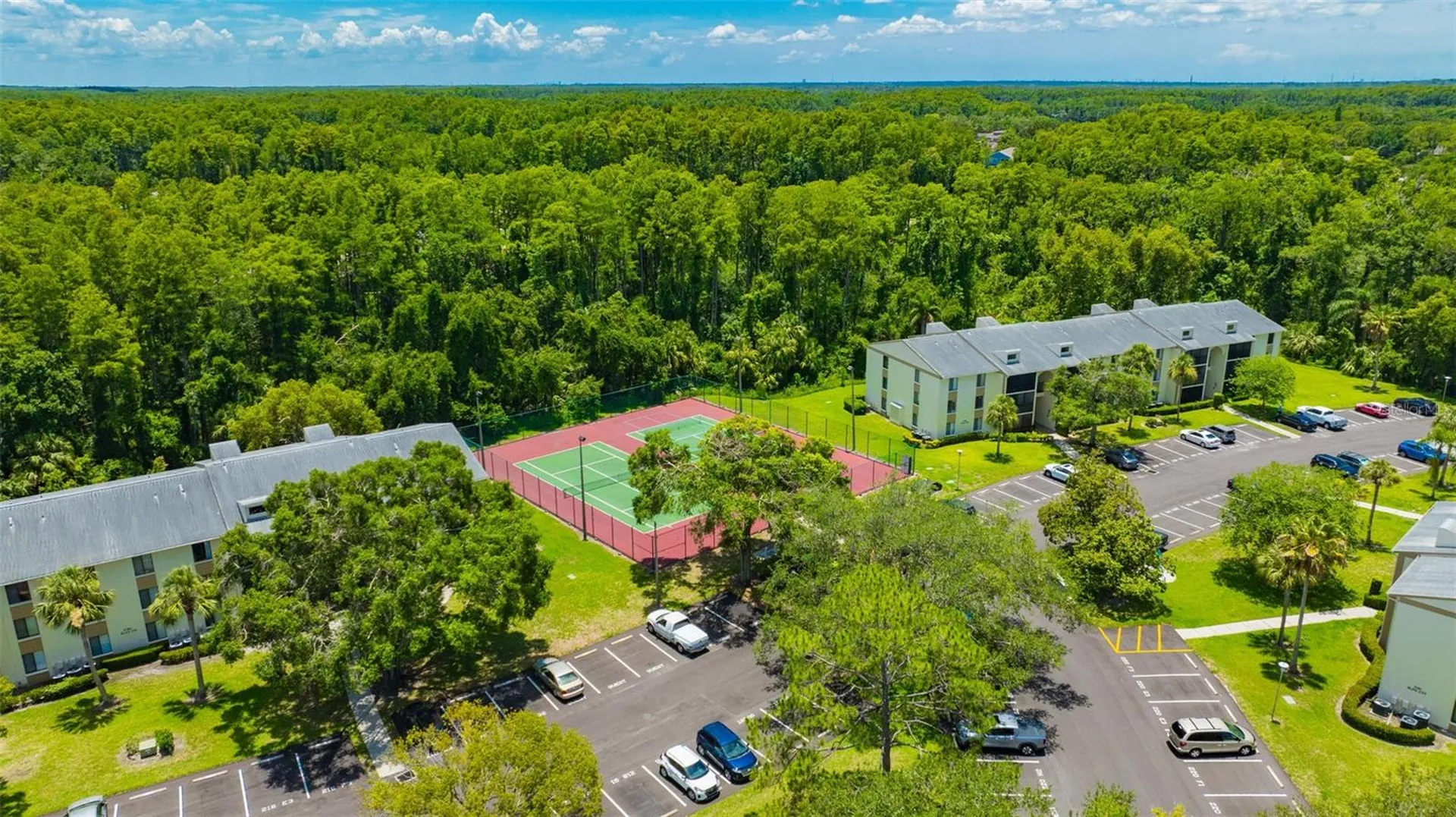 3134 Lake Pine Way Tarpon Springs FL 34688
