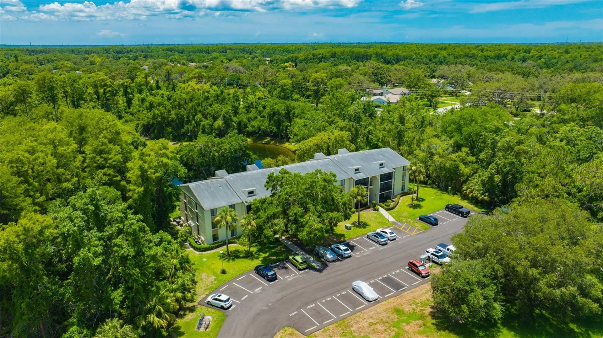3134 Lake Pine Way Tarpon Springs FL 34688