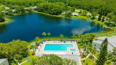 3134 Lake Pine Way Tarpon Springs FL 34688