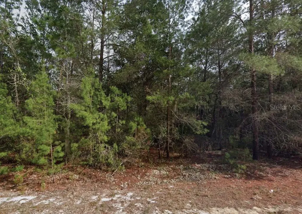 Theresa Avenue Interlachen FL 32148