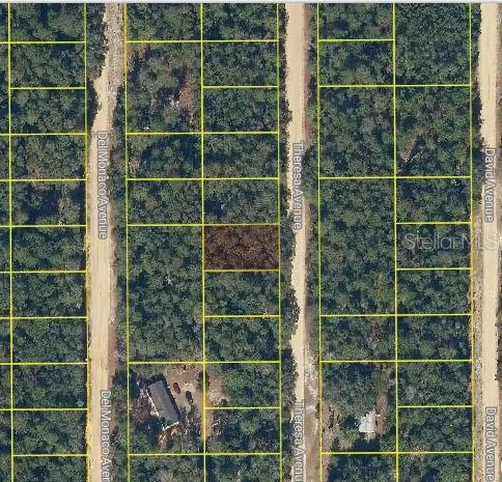 Theresa Avenue Interlachen FL 32148