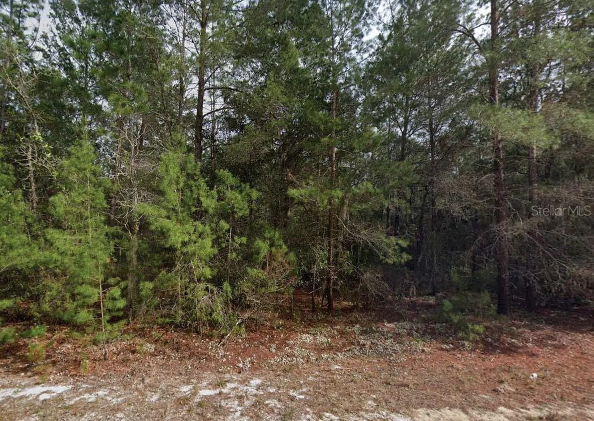 Theresa Avenue Interlachen FL 32148