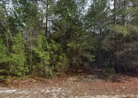 Theresa Avenue Interlachen FL 32148