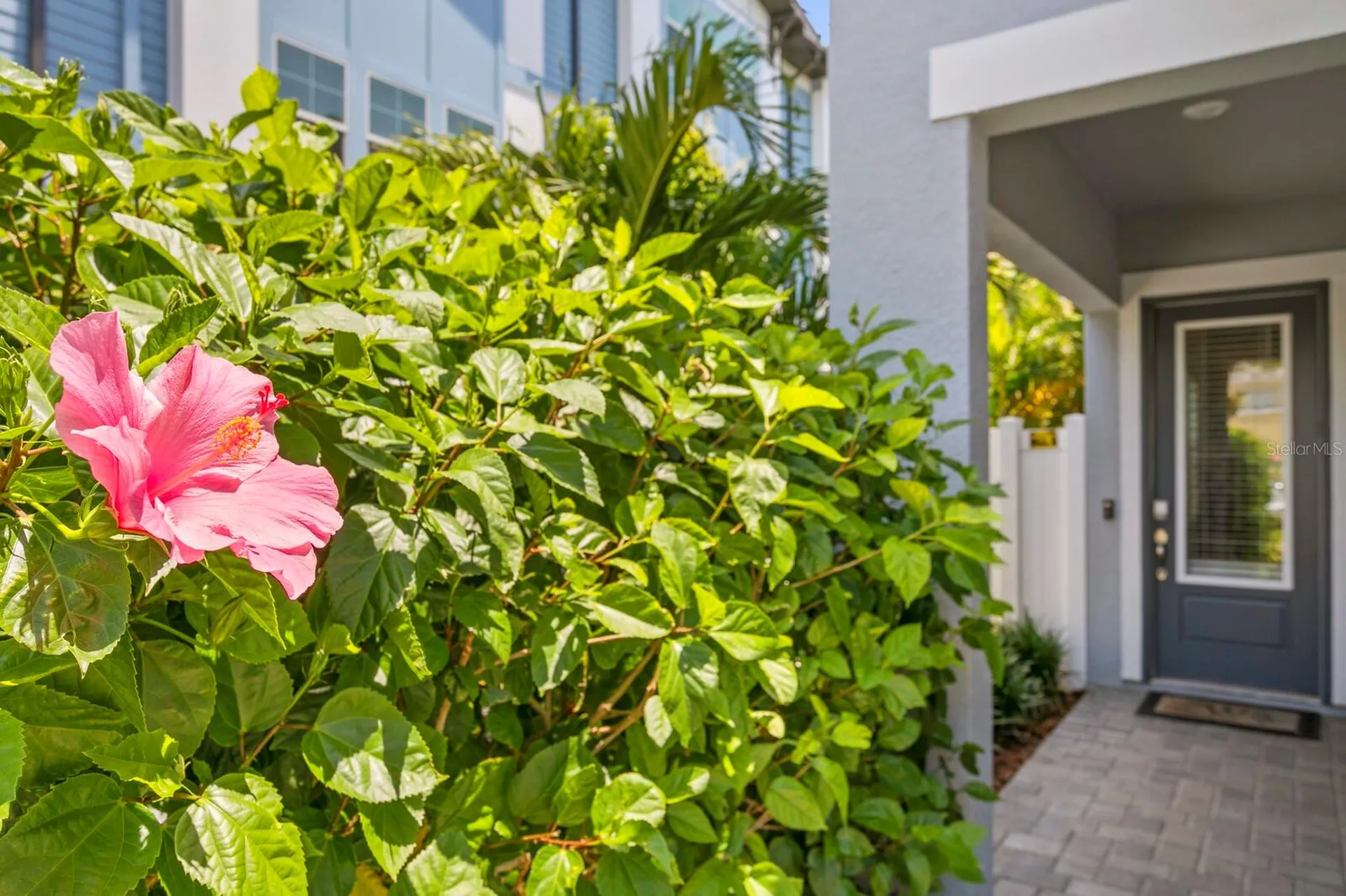 408 S Matanzas Avenue Tampa FL 33609