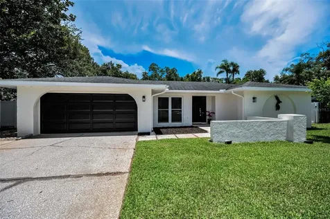 3411 Glossy Ibis Court Palm Harbor FL 34683