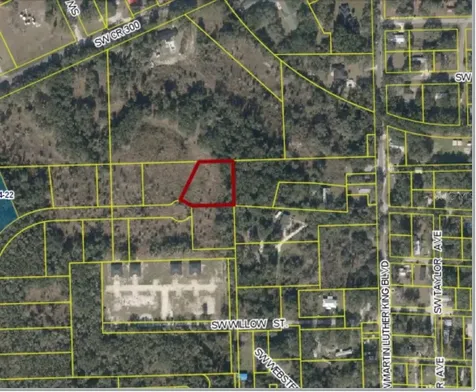 00 SW Roosevelt Mayo FL 32066