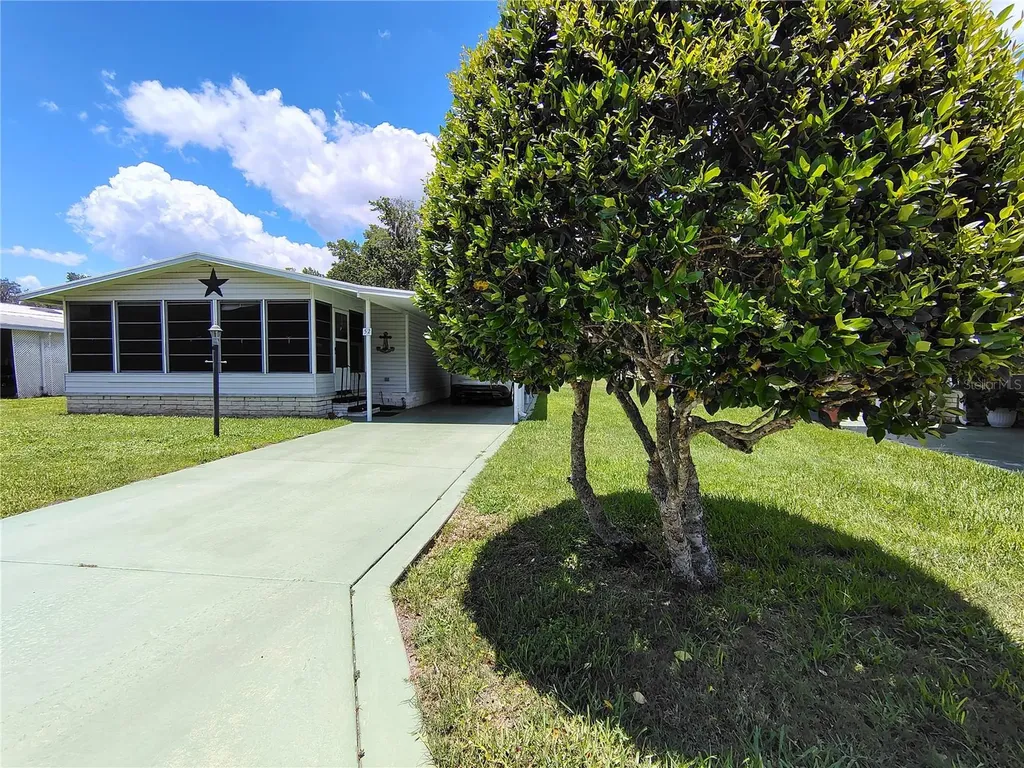 52 Outlet Drive Lake Panasoffkee FL 33538