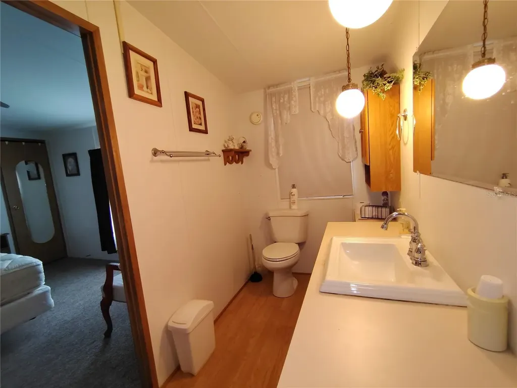 52 Outlet Drive Lake Panasoffkee FL 33538