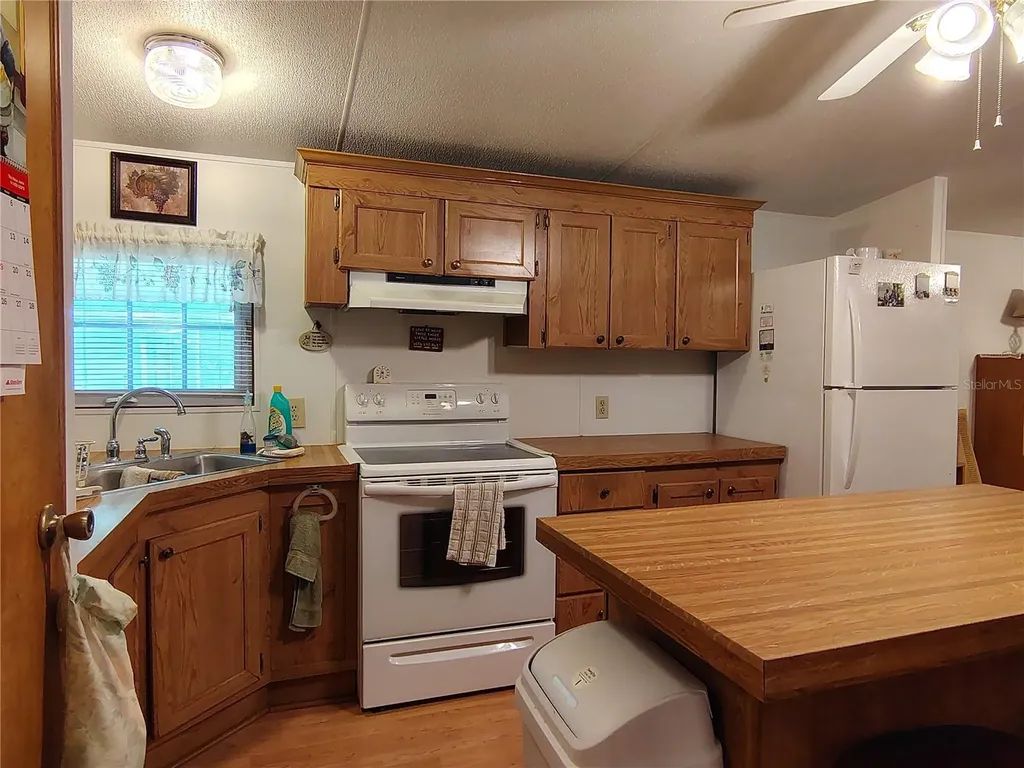 52 Outlet Drive Lake Panasoffkee FL 33538