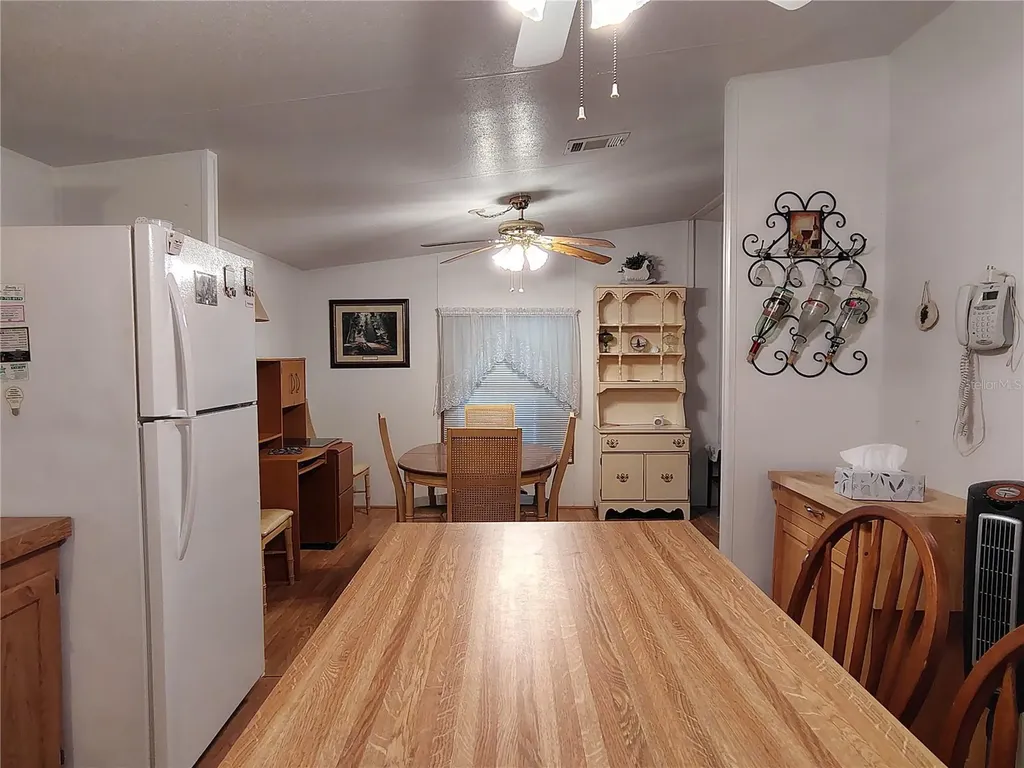 52 Outlet Drive Lake Panasoffkee FL 33538