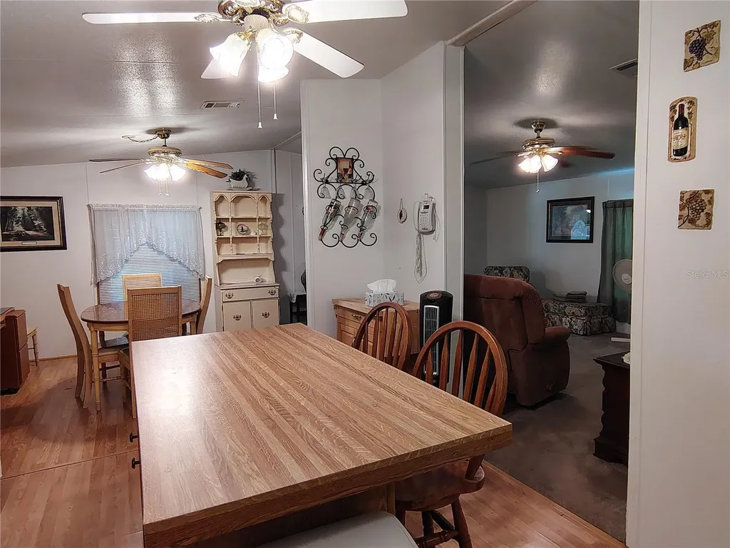 52 Outlet Drive Lake Panasoffkee FL 33538