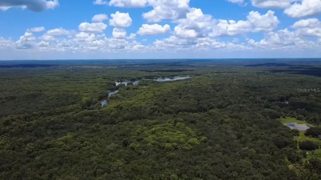 52 Outlet Drive Lake Panasoffkee FL 33538