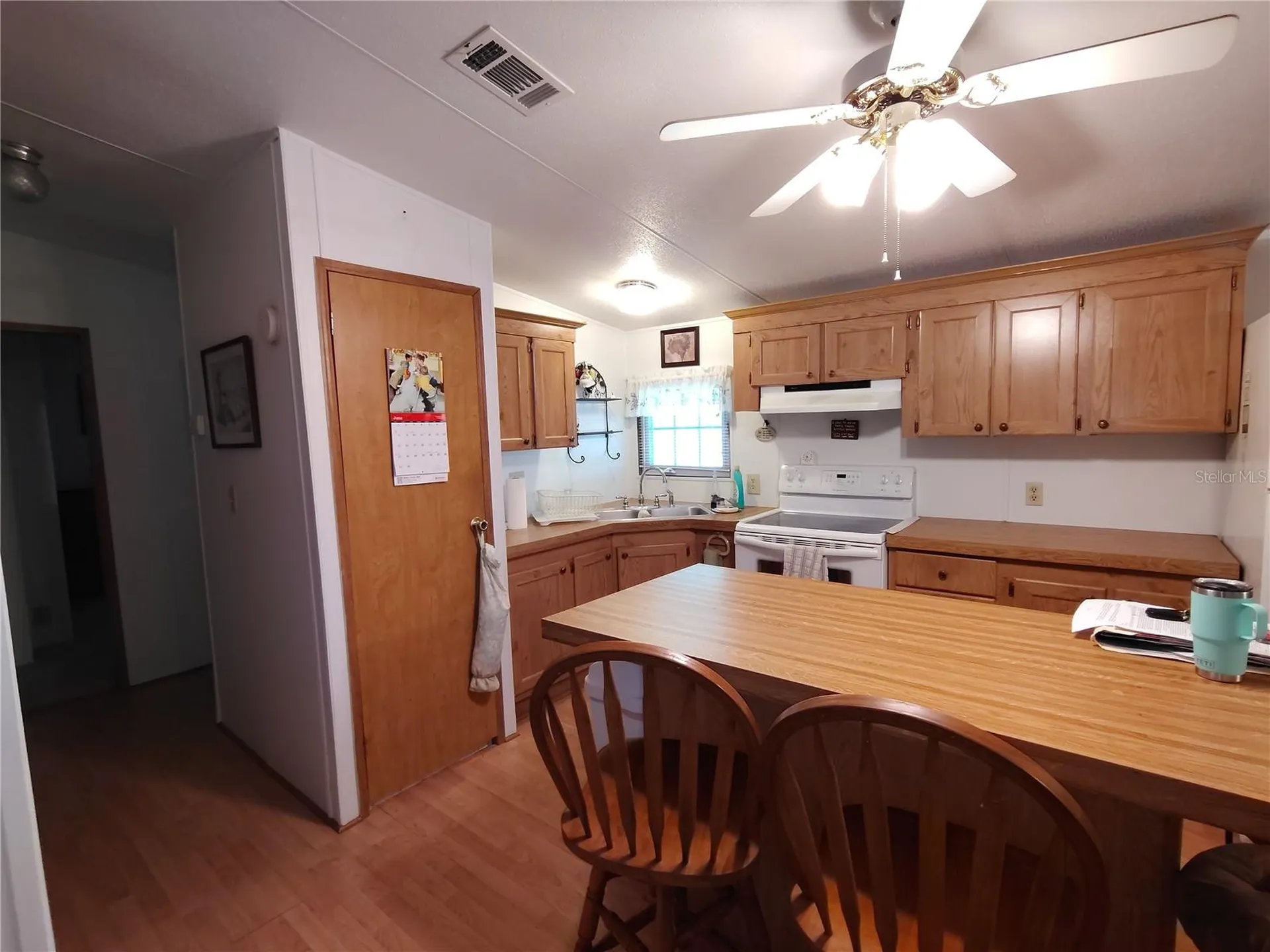 52 Outlet Drive Lake Panasoffkee FL 33538