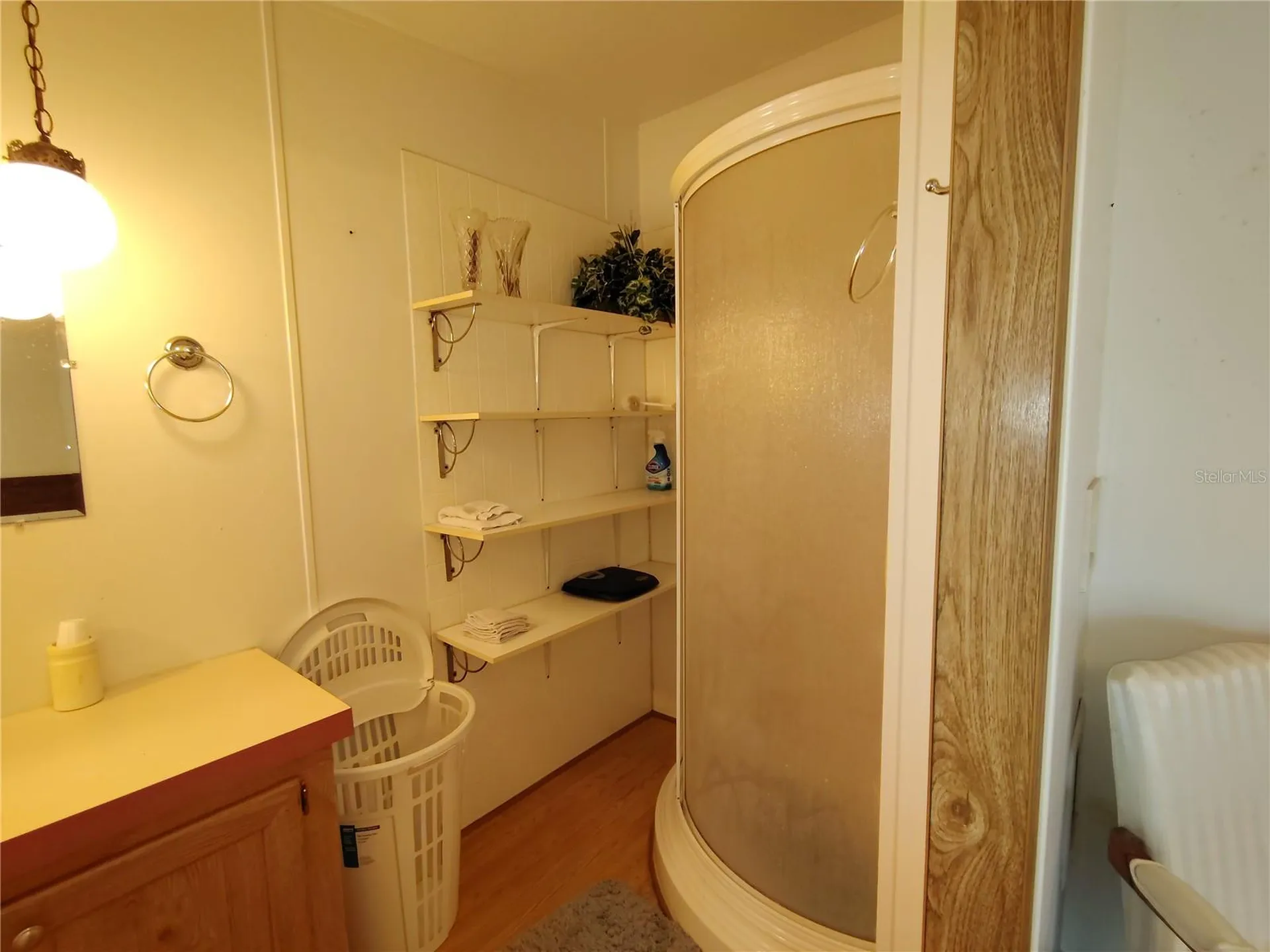 52 Outlet Drive Lake Panasoffkee FL 33538