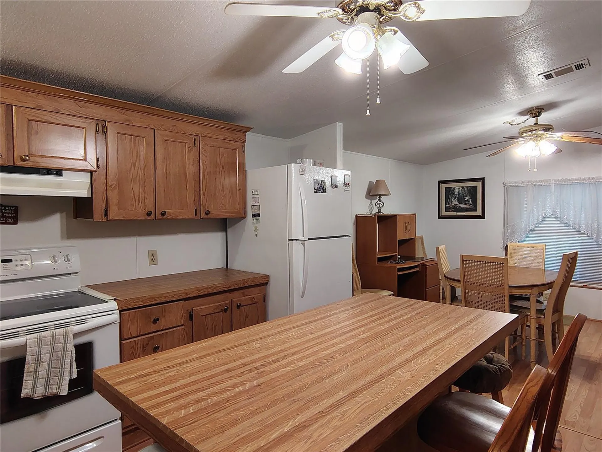 52 Outlet Drive Lake Panasoffkee FL 33538