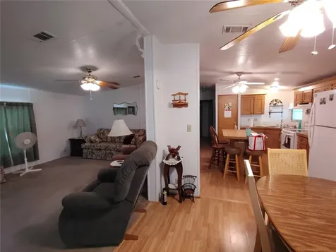 52 Outlet Drive Lake Panasoffkee FL 33538