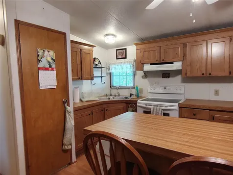 52 Outlet Drive Lake Panasoffkee FL 33538