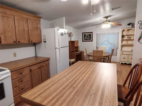 52 Outlet Drive Lake Panasoffkee FL 33538