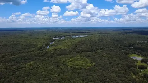 52 Outlet Drive Lake Panasoffkee FL 33538