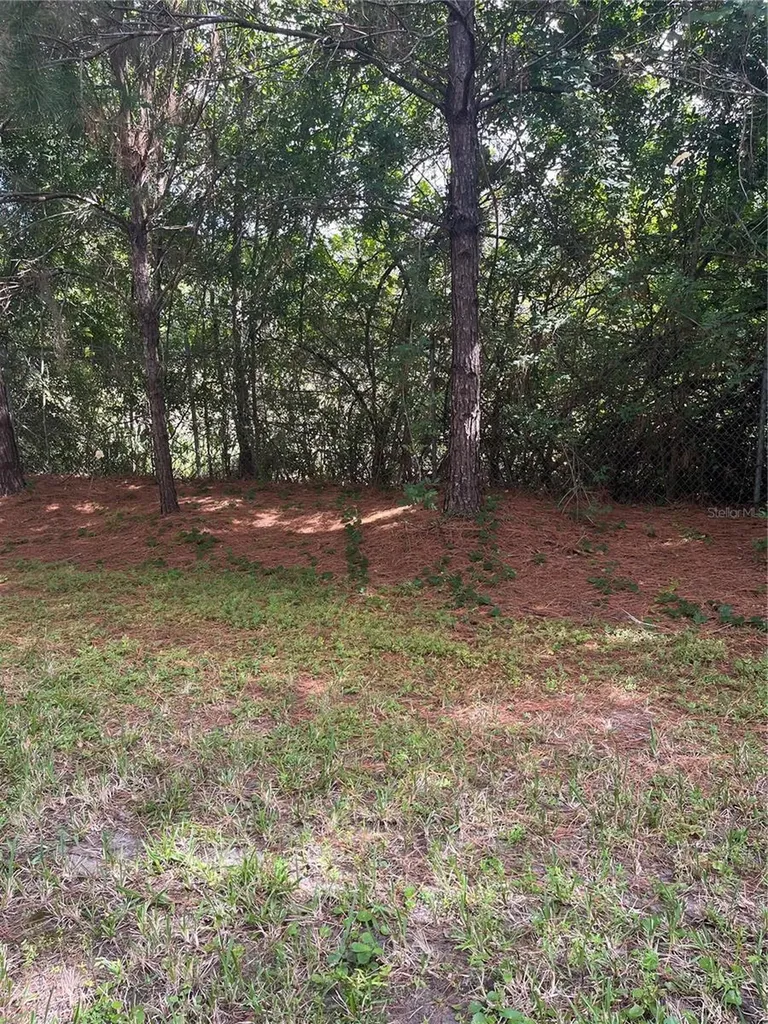 17361 Old Tobacco Road Lutz FL 33558