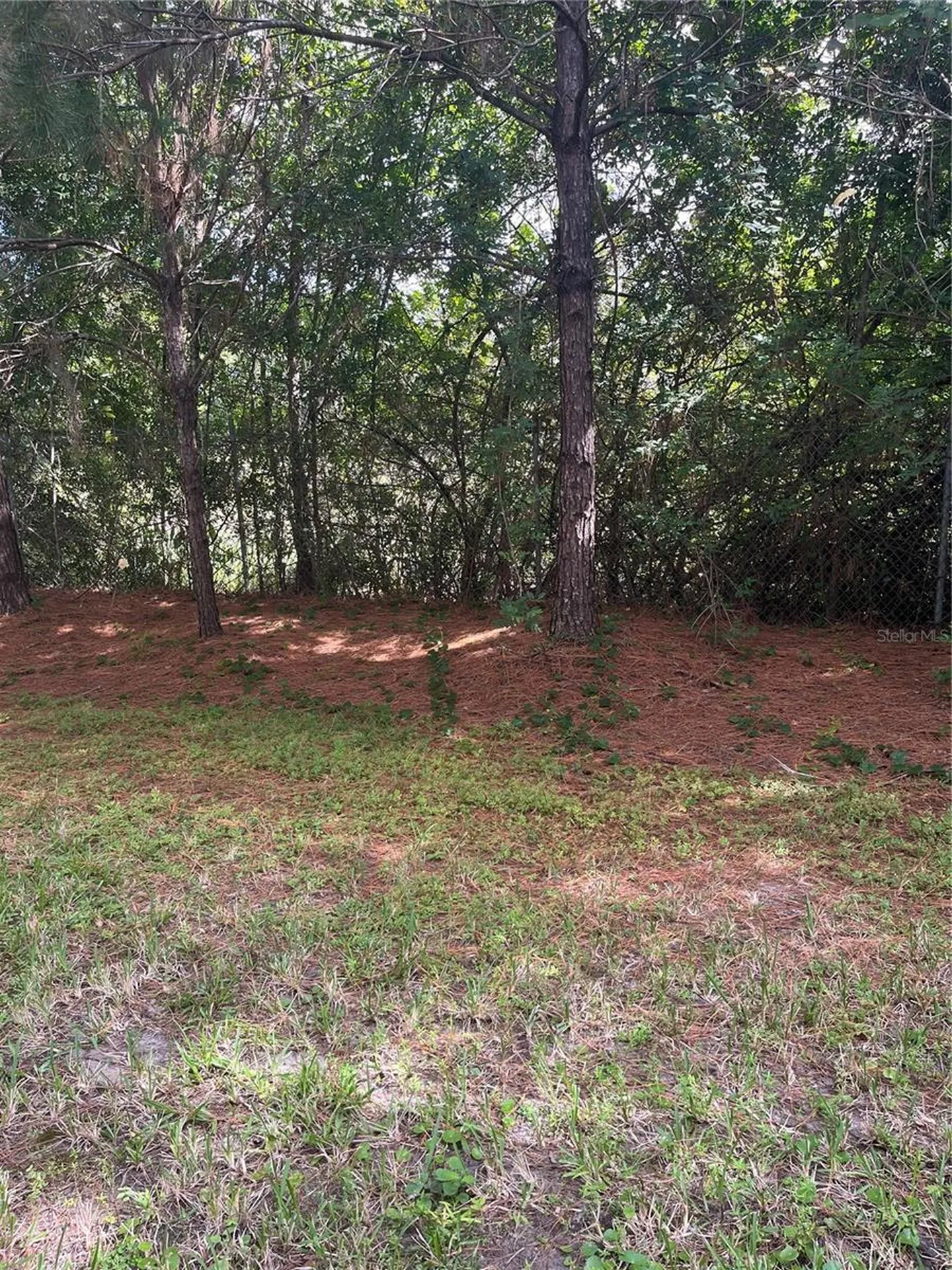 17361 Old Tobacco Road Lutz FL 33558