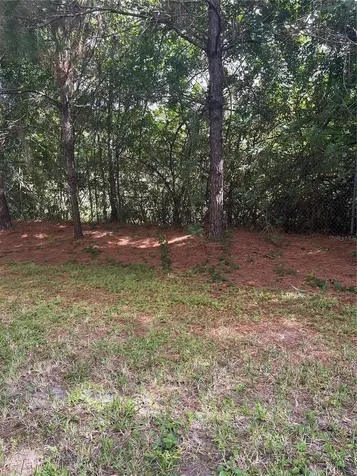 17361 Old Tobacco Road Lutz FL 33558