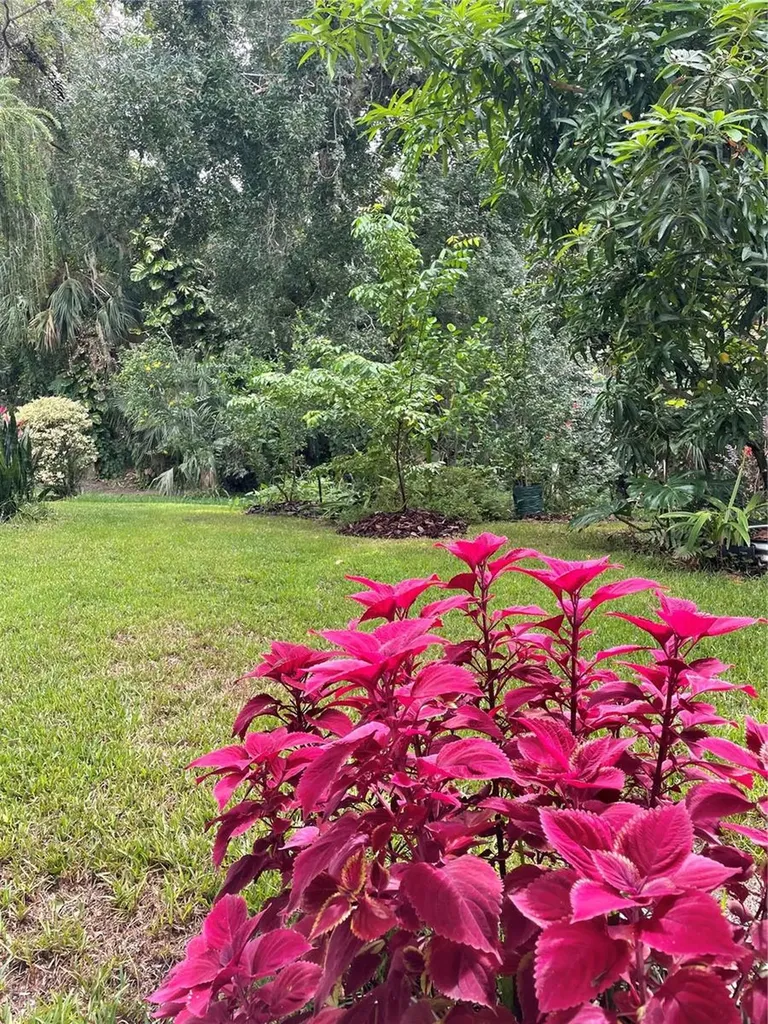 2111 Rocky Bluff Court Oviedo FL 32765
