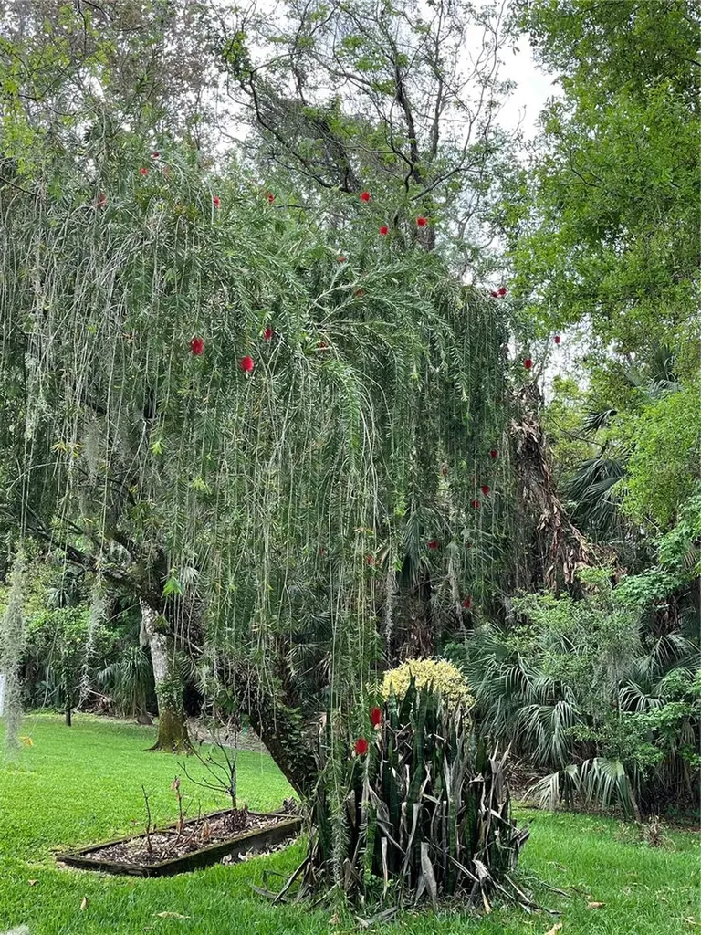 2111 Rocky Bluff Court Oviedo FL 32765