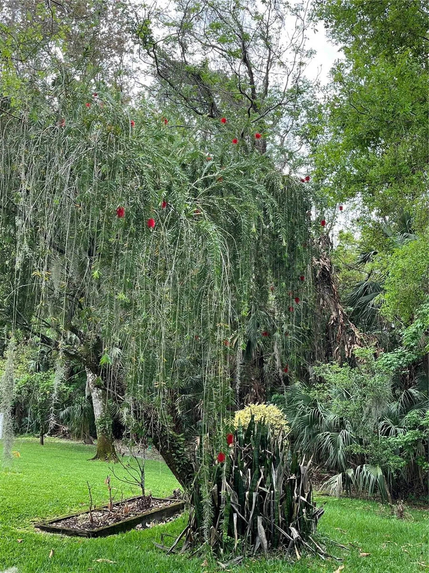 2111 Rocky Bluff Court Oviedo FL 32765