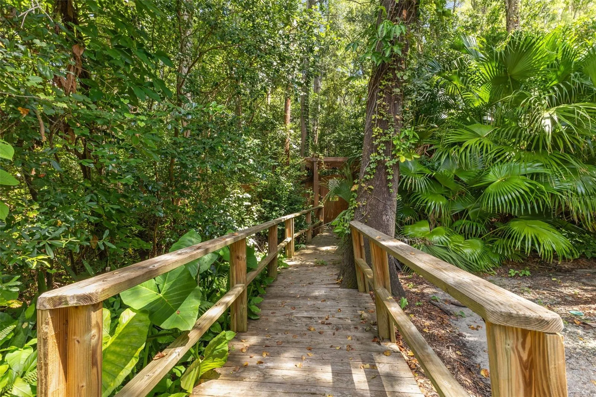 3416 Cypress Head Court Tampa FL 33618