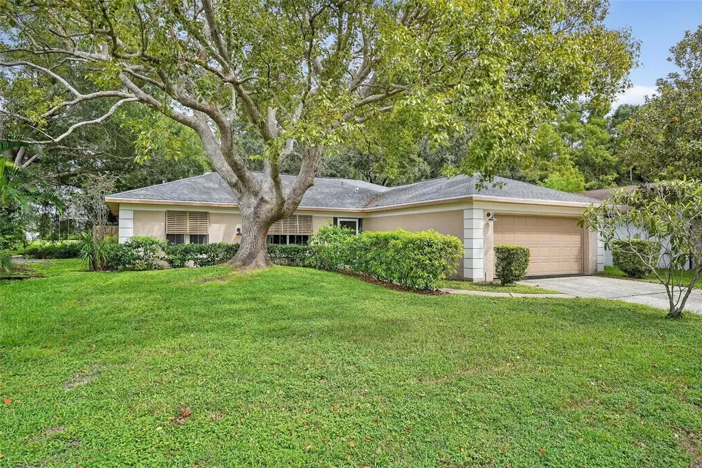 3602 Player Drive New Port Richey FL 34655