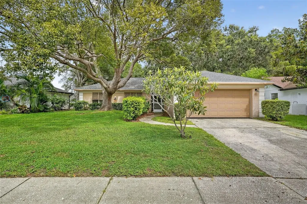 3602 Player Drive New Port Richey FL 34655