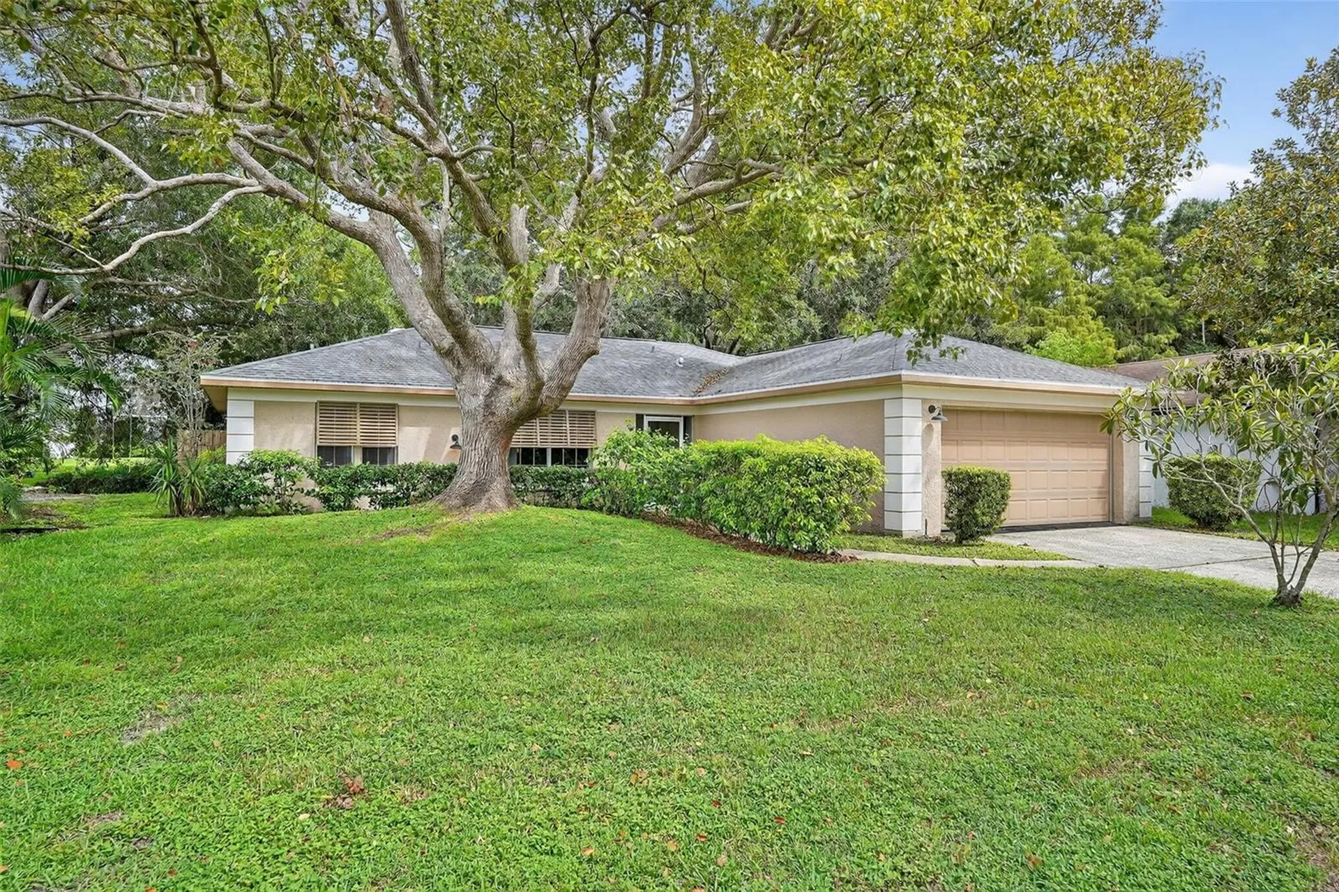3602 Player Drive New Port Richey FL 34655