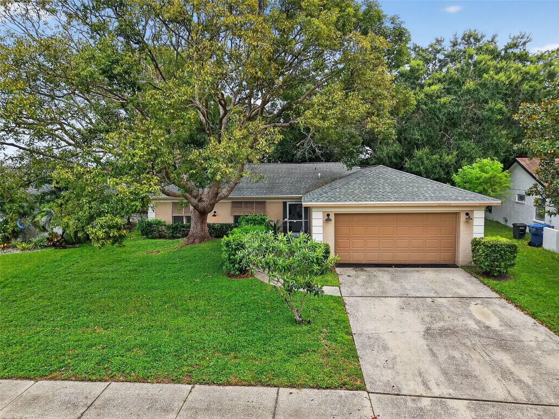 3602 Player Drive New Port Richey FL 34655
