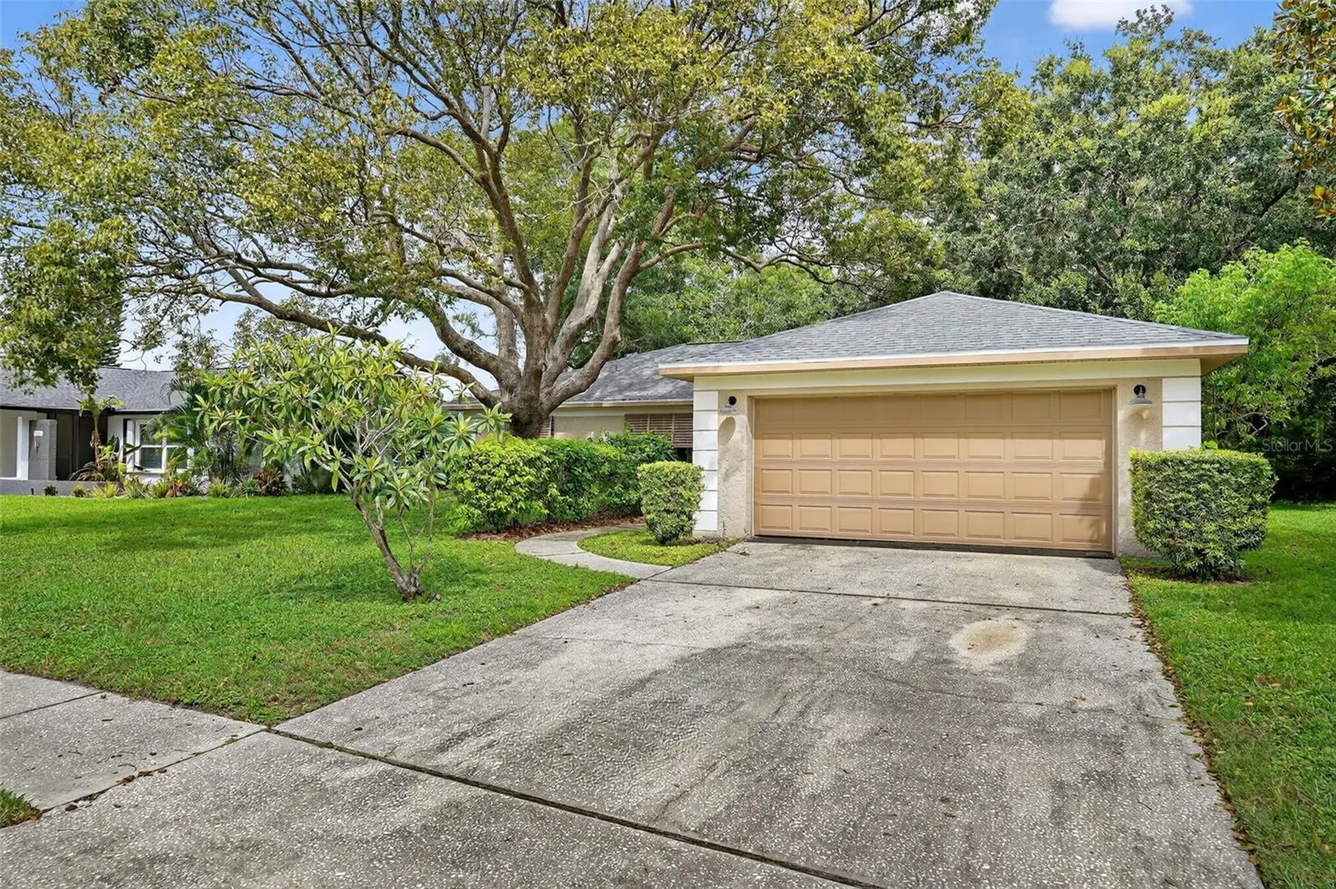 3602 Player Drive New Port Richey FL 34655