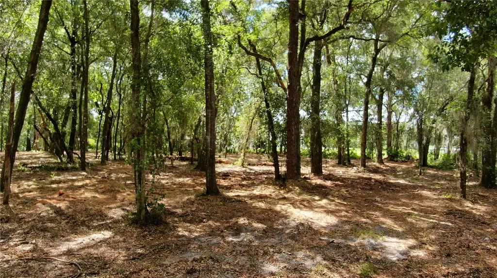 Lake Markham Road Sanford FL 32771