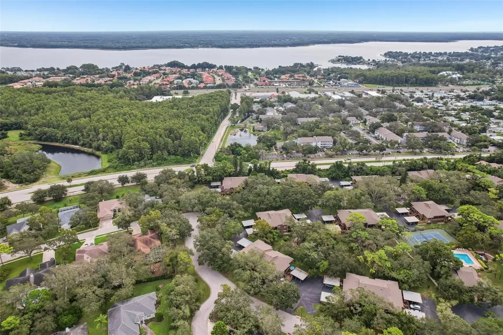 2407 Cypress Pond Road Palm Harbor FL 34683