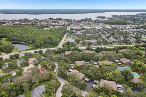2407 Cypress Pond Road Palm Harbor FL 34683