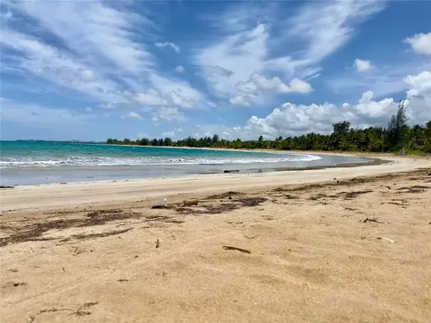 968 Camino Las Picuas 1 Rio Grande PR 00745