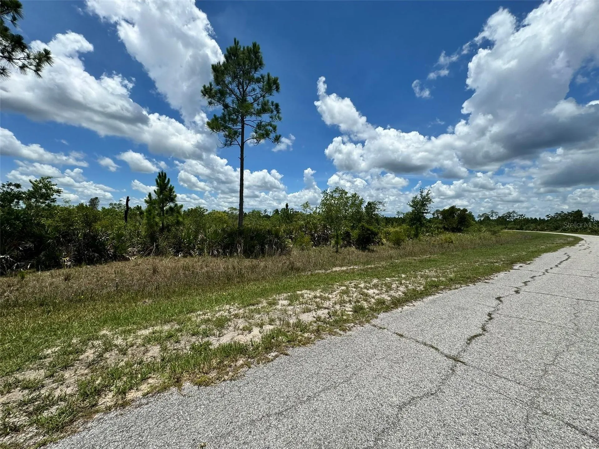 Lot #2 Meadowlark Boulevard Indian Lake Estates FL 33855