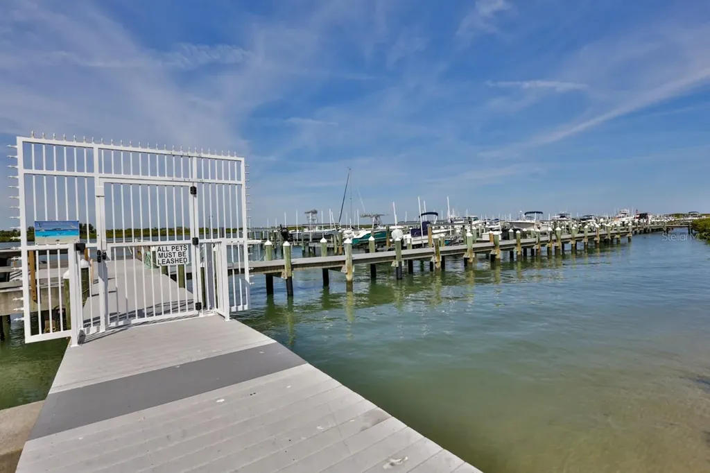 265 Minorca Beach Way New Smyrna Beach FL 32169