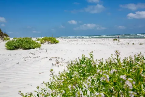 265 Minorca Beach Way New Smyrna Beach FL 32169
