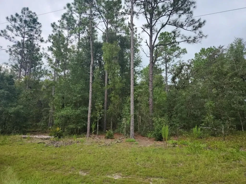 Lot 24 SW 89th Circle Ocala FL 34473
