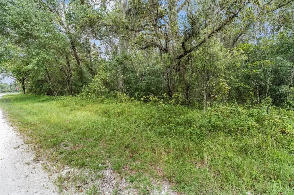 0 Kent Grove Drive Spring Hill FL 34610